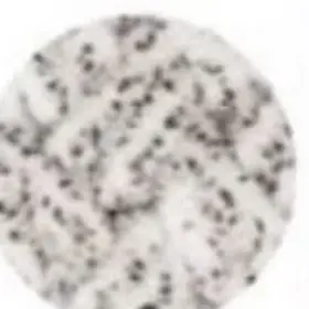 Speckled cream yarn colour